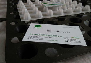 山东塑料排水板厂家概览 价格、厂商、产品图片与排水系统解析